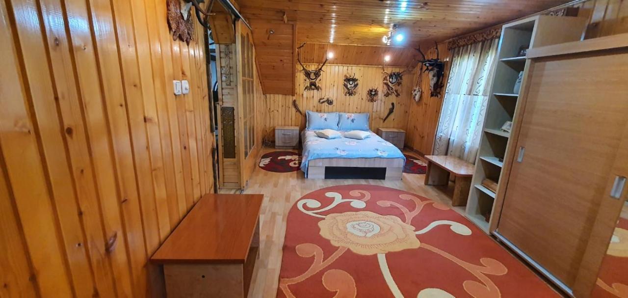 Casa Cristian Vila Câmpulung Moldovenesc Exterior foto