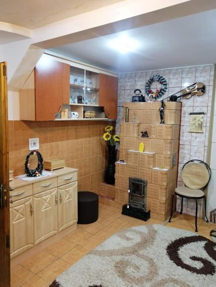 Casa Cristian Vila Câmpulung Moldovenesc Exterior foto
